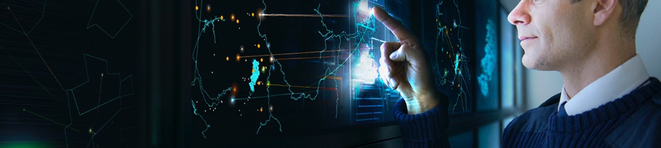 Distribution System Operators