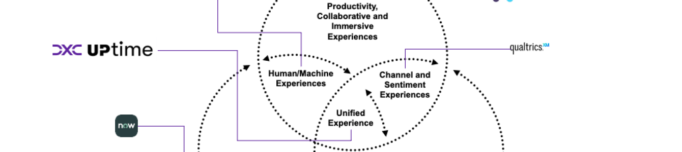 Workplace Experience