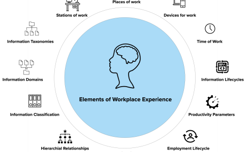 Elements of Workplace Experience